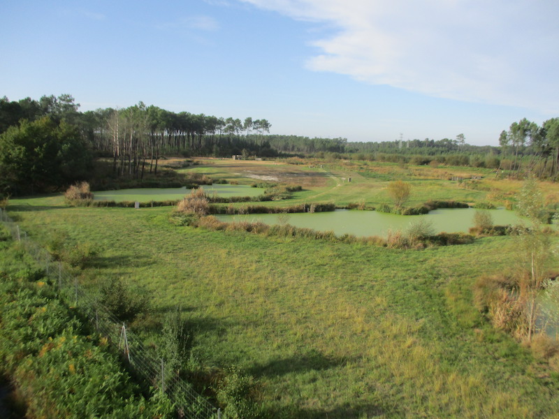 © Agence AVEC - 28.10.2019